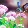 Beautiful Blue Hummingbird paint by number