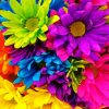 Colorful Bright Flowers Bouquet paint by number