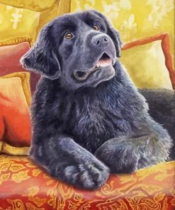 Cute Newfoundland Dog paint by number