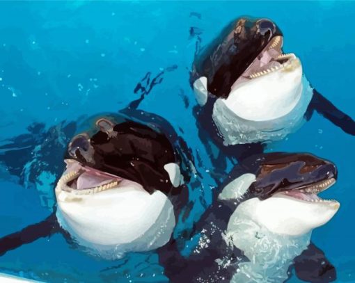 Cute Orcas paint by number