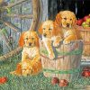 Cute Puppies paint by number