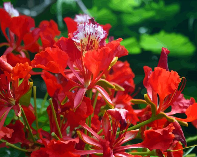 Flamboyan Flower Plant paint by number