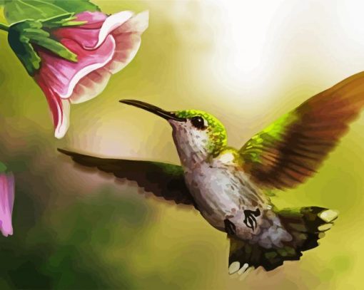 Flying Hummingbird paint by number