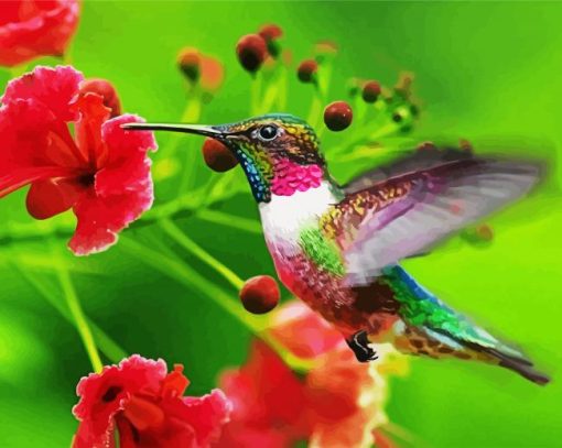 Flying Hummingbird paint by number