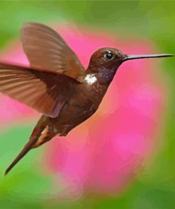 Hummingbird And Flower paint by number