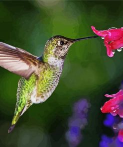 Hummingbird With Flowers paint by number