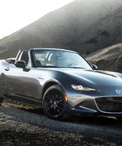 Mazda MX5 Sport Car paint by numbers