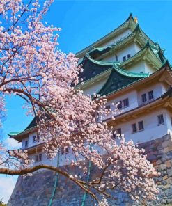 Nagoya Castle paint by number