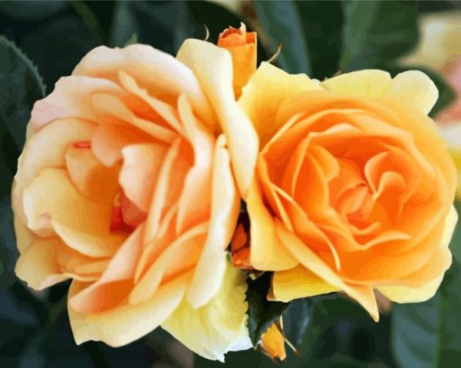 Orange Floribundas Flower paint by number