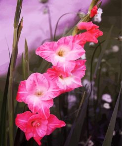 Pink Gladiola Flowers paint by number