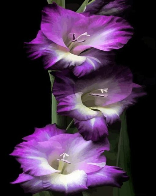 Purple Gladiola Flowers paint by number