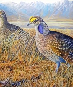 Sharp Tailed Grouse Birds paint by number