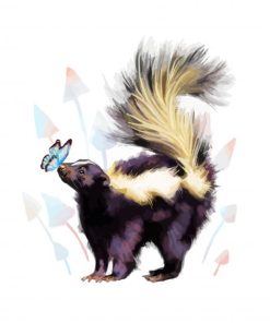 Skunk And Butterfly paint by number