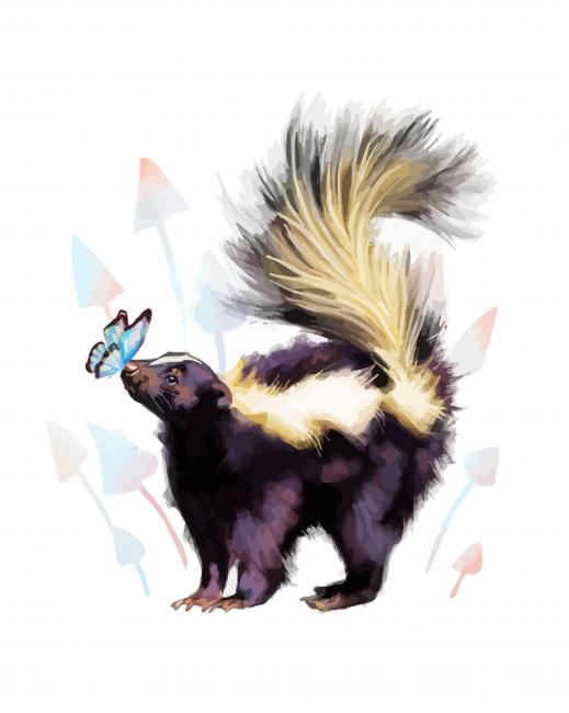 Skunk And Butterfly paint by number