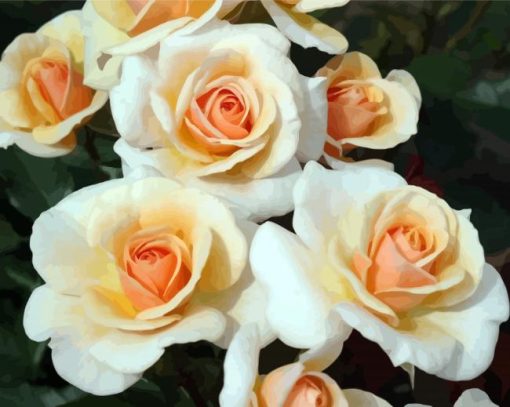 White And Orange Floribundas paint by numbers