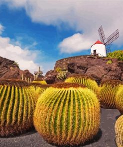 Windmill Lanzarote paint by numbers