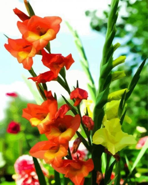 Yellow And Orange Gladiola paint by numbers