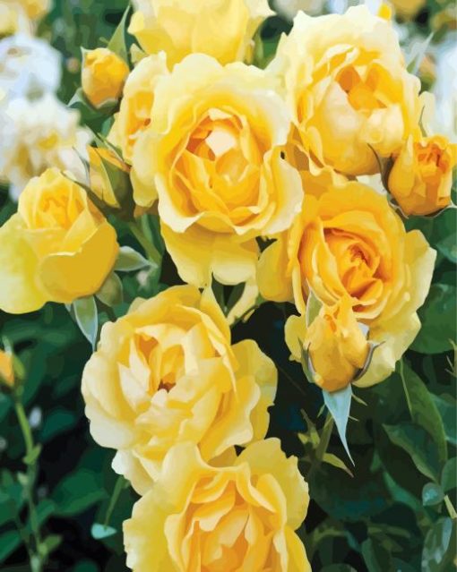 Yellow Flower Floribunda paint by numbers