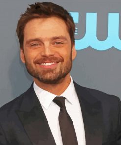 Actor Sebastian Stan paint by number