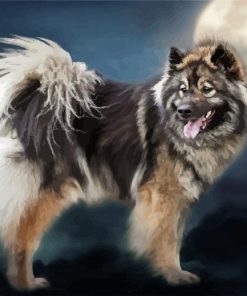 Aesthetic Eurasier paint by number