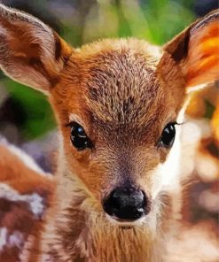 Baby Deer Animal paint by numbers