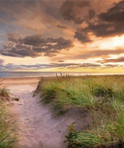 Beach Path At Sunset paint by number