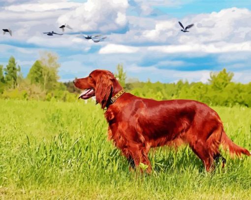 Beautiful Irish Setter paint by number