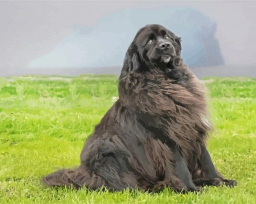 Beautiful Newfie paint by number