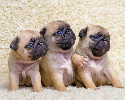 Beautiful Pug Puppies paint by number