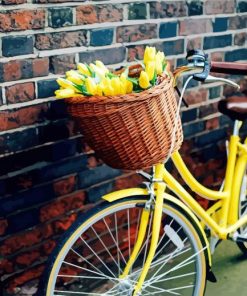 Bicycle With Yellow Tulips paint by number