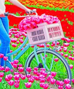 Bike In Tulips Field paint by number