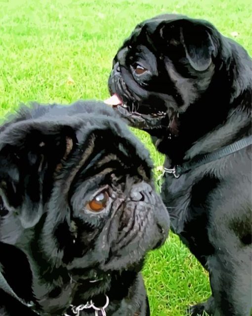 Black Pug Puppies paint by number