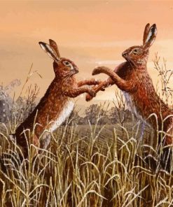 Boxing Hares Art paint by number