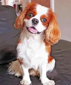 Cavalier King Charles Spaniel Puppy paint by number