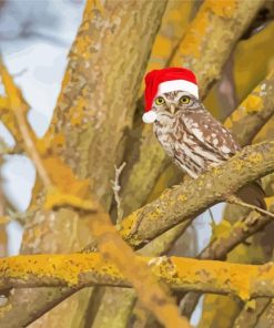 Christmas Wildlife Owl paint by number