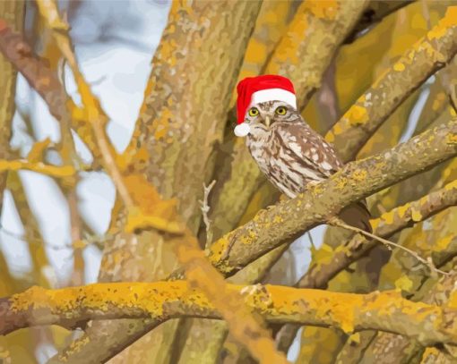 Christmas Wildlife Owl paint by number