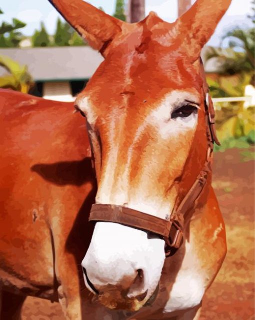 Close Up Mule Animal paint by number