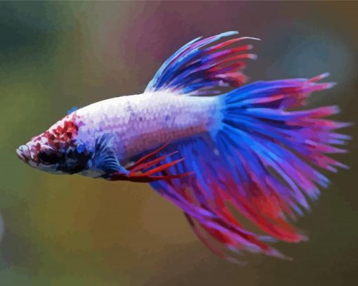 Colorful Purple Betta Fish paint by number