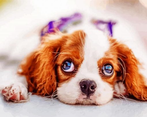 Cute Cavalier King Charles Spaniel paint by number