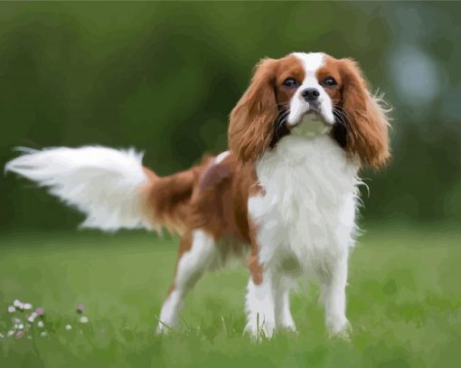 Cute King Charles Cavalier paint by number