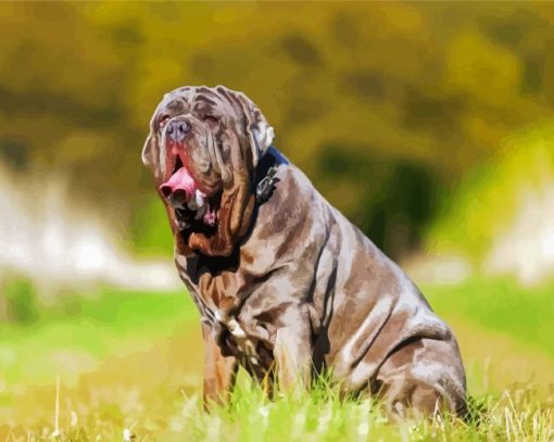 Cute Neapolitan Mastiff paint by number