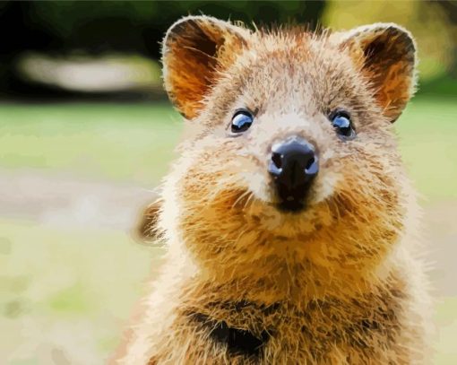 Cute Quokka Animal Face paint by numbers