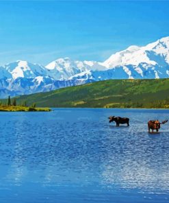 Denali National Park Alaska paint by number