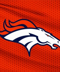 Denver Broncos Logo paint by number