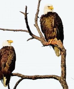 Eagles On A Tree paint by number