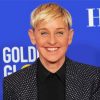 Ellen Degeneres Smiling paint by number