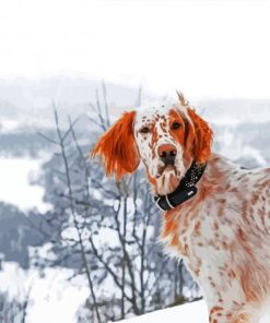 English Setter In The Snow paint by number