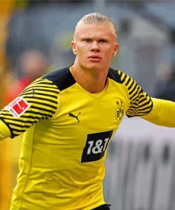 Erling Haaland Player paint by number