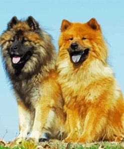 Eurasier Dogs paint by number