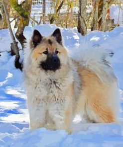 Eurasier In Snow paint by number